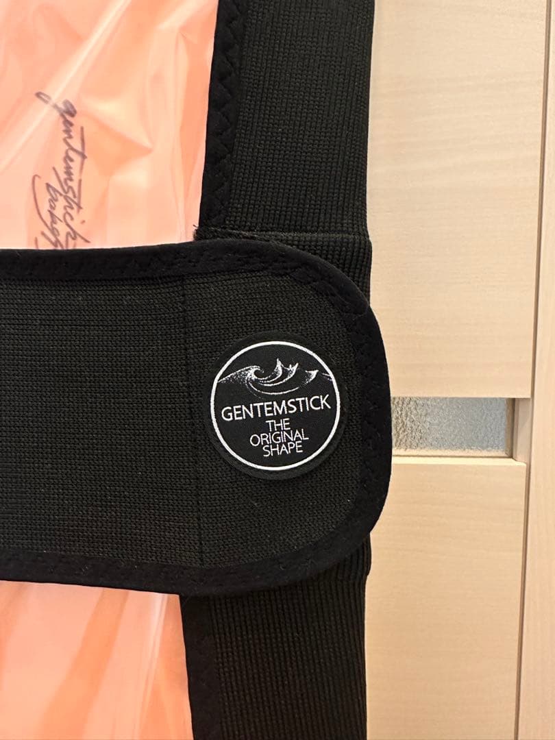 スノーボード Gentemstick baby stingray 151cm