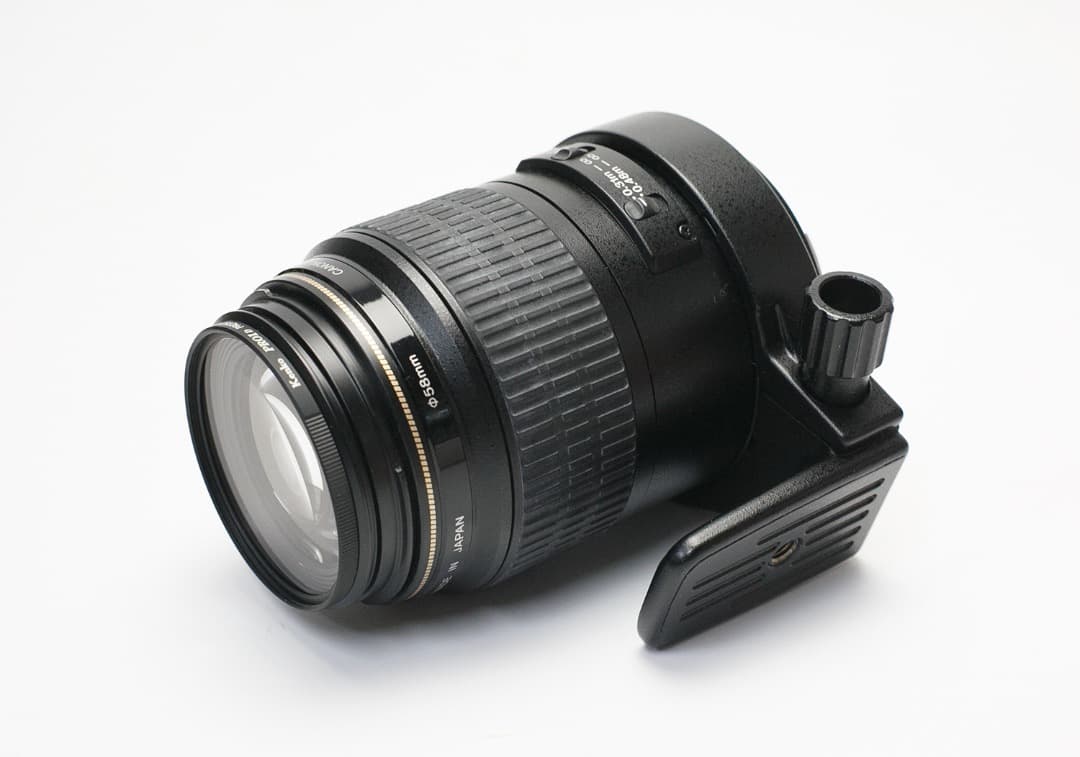 Canon EF 100mm f/2.8 マクロ USM レンズ（作例あり）