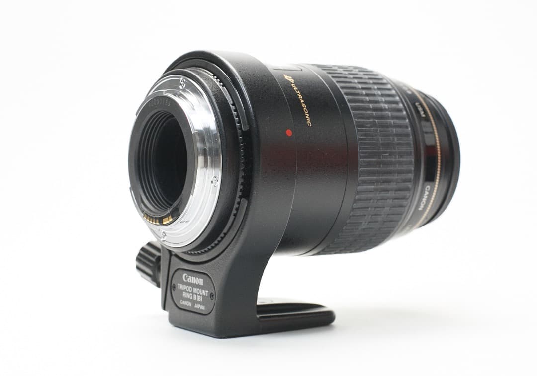 Canon EF 100mm f/2.8 マクロ USM レンズ（作例あり）