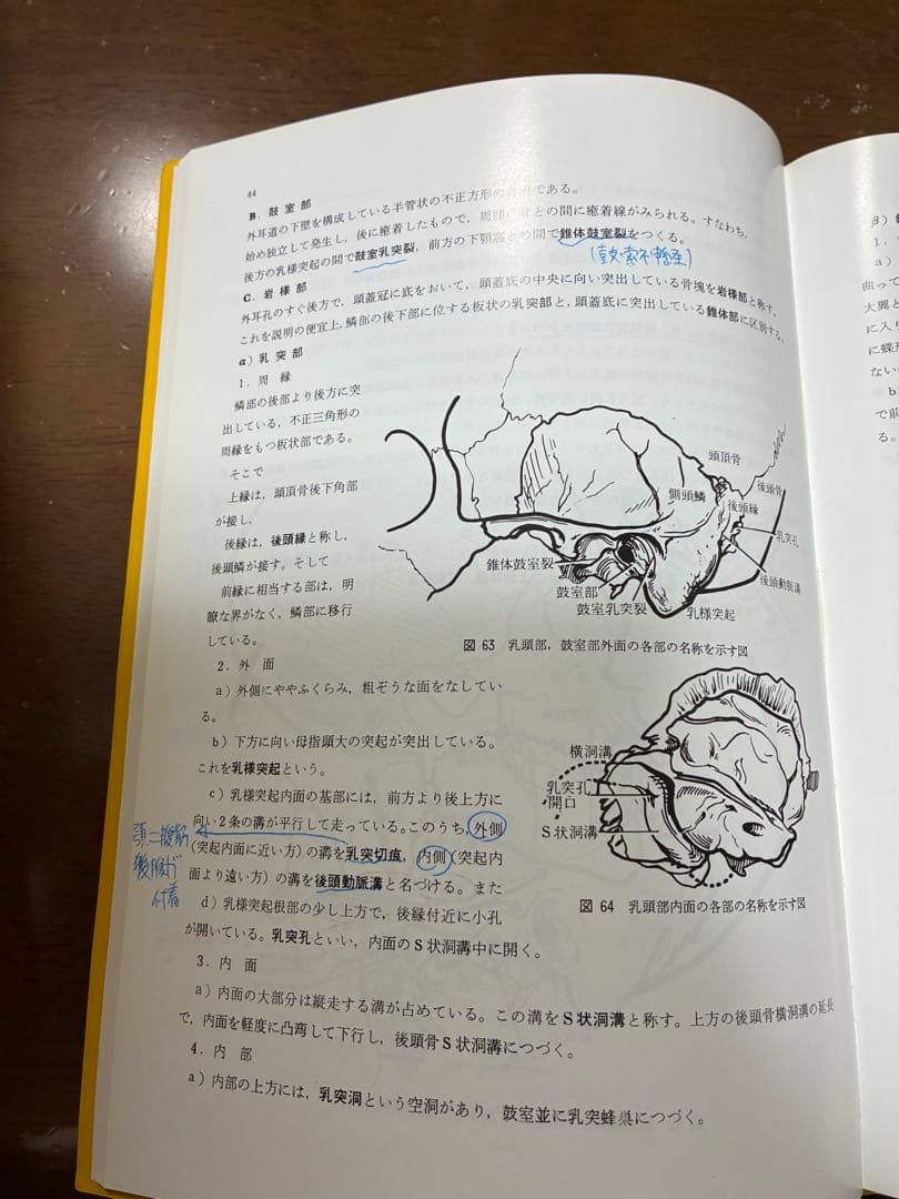 【今がおすすめ！】口腔解剖学の全5巻セット