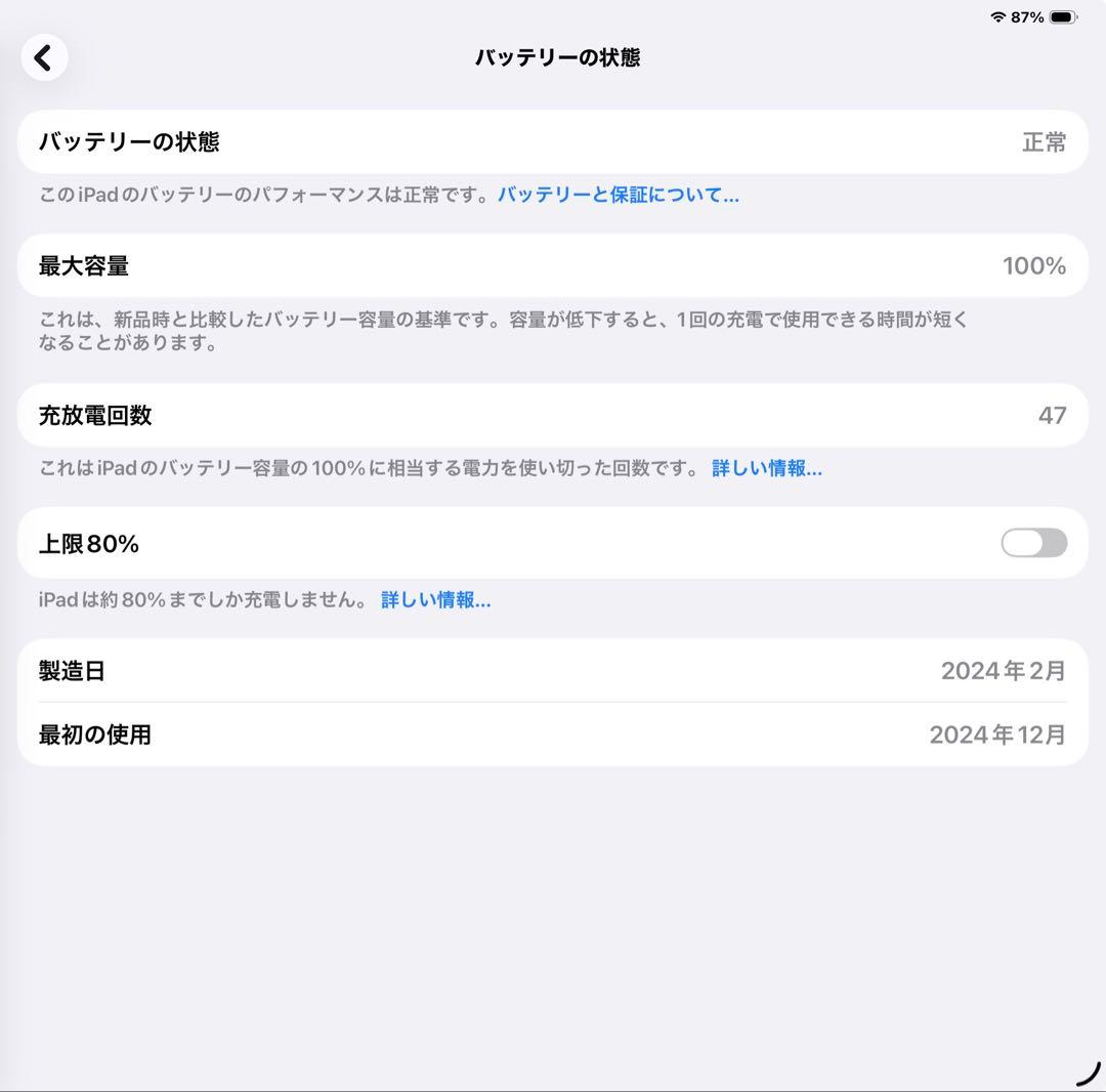 13インチiPad Pro(M4)Wi-Fi 256GB シルバー