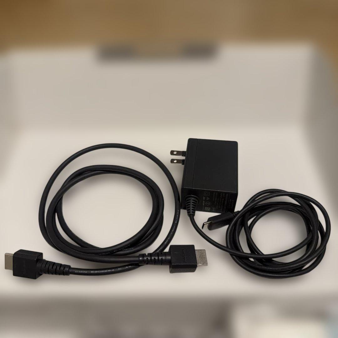 Nintendo Switch 本体 あつまれどうぶつの森 おまけつき