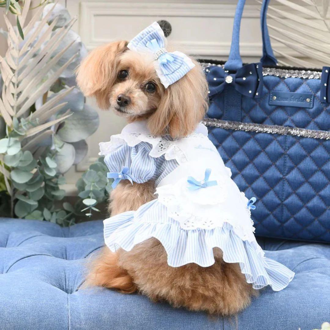 新品　リュクスバーディ Luxe birdie エマーブルワンピース　ブルー