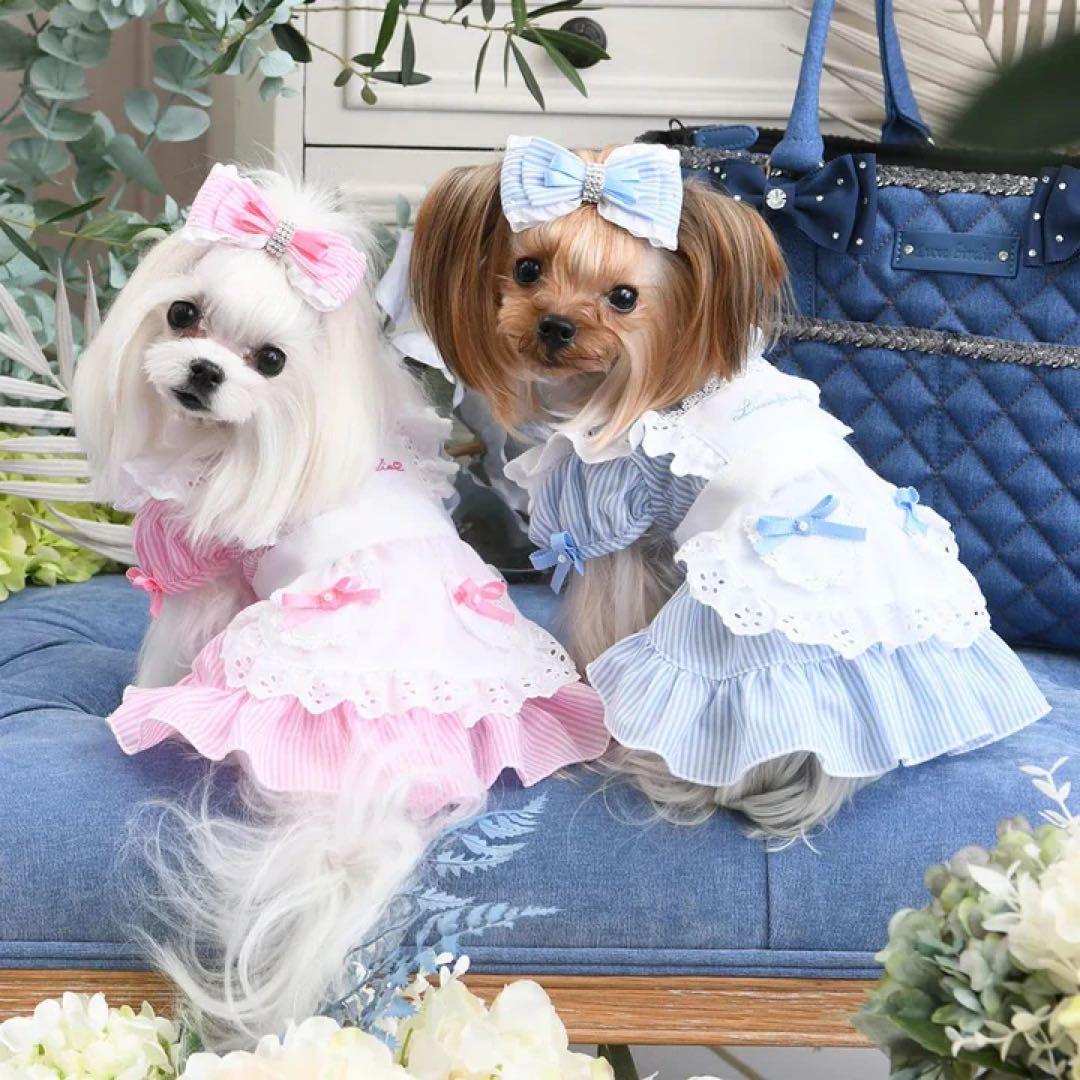 新品　リュクスバーディ Luxe birdie エマーブルワンピース　ブルー