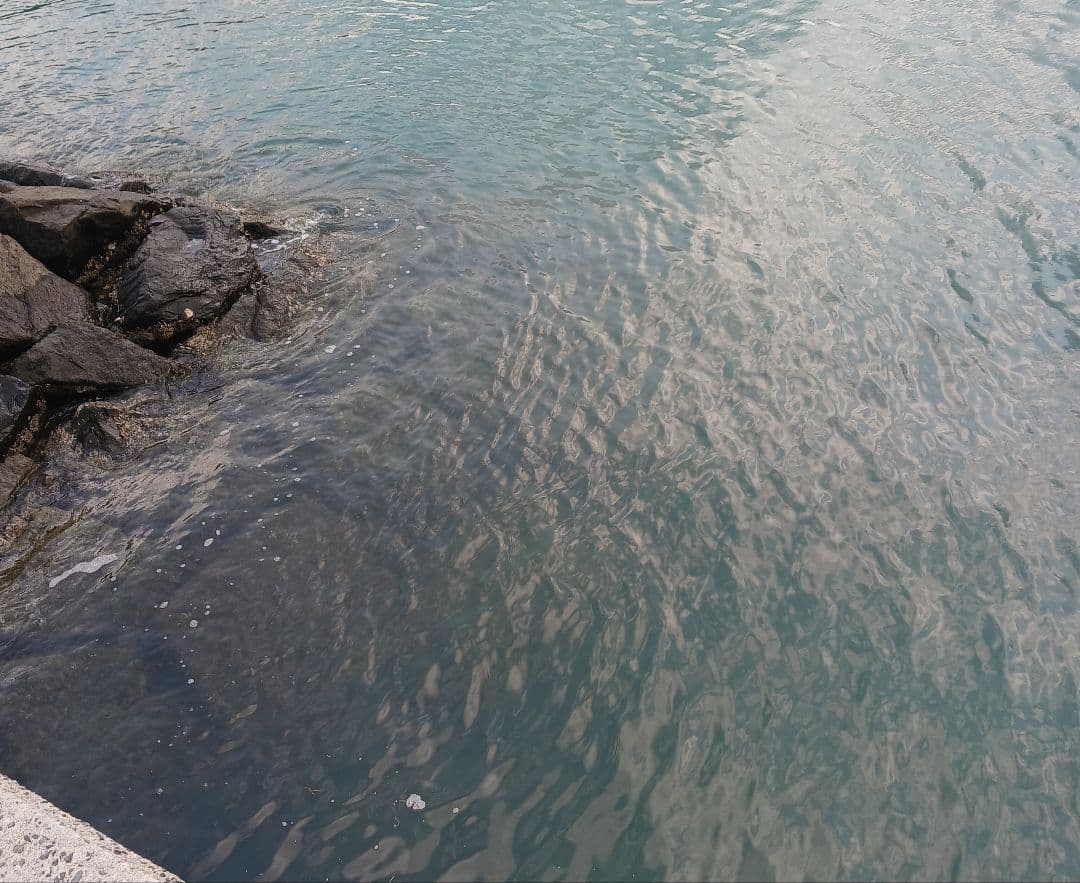 釣り用　偏光サングラス/ゼクー（ZEQUE）　ステルス