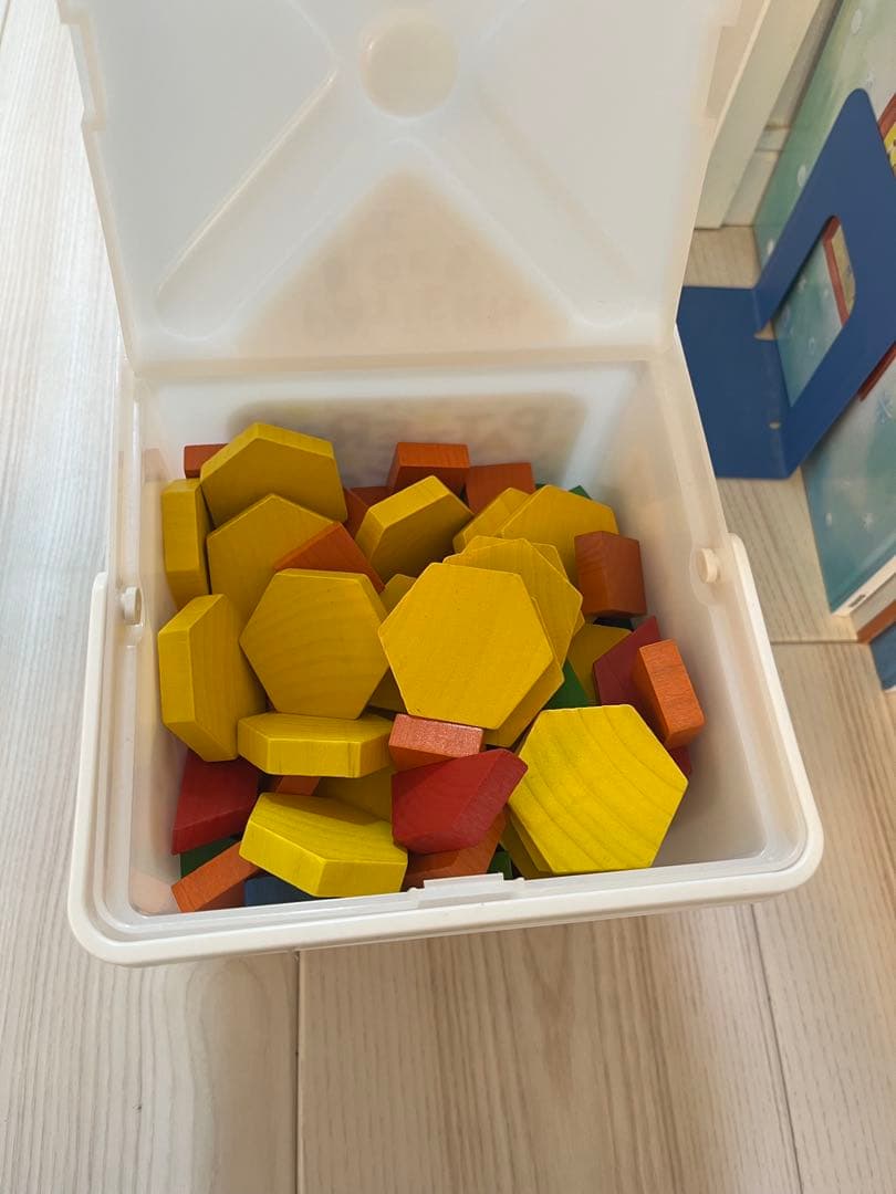 ⚜️立教小学校受験対策⚜️絵本とパターンブロックセット