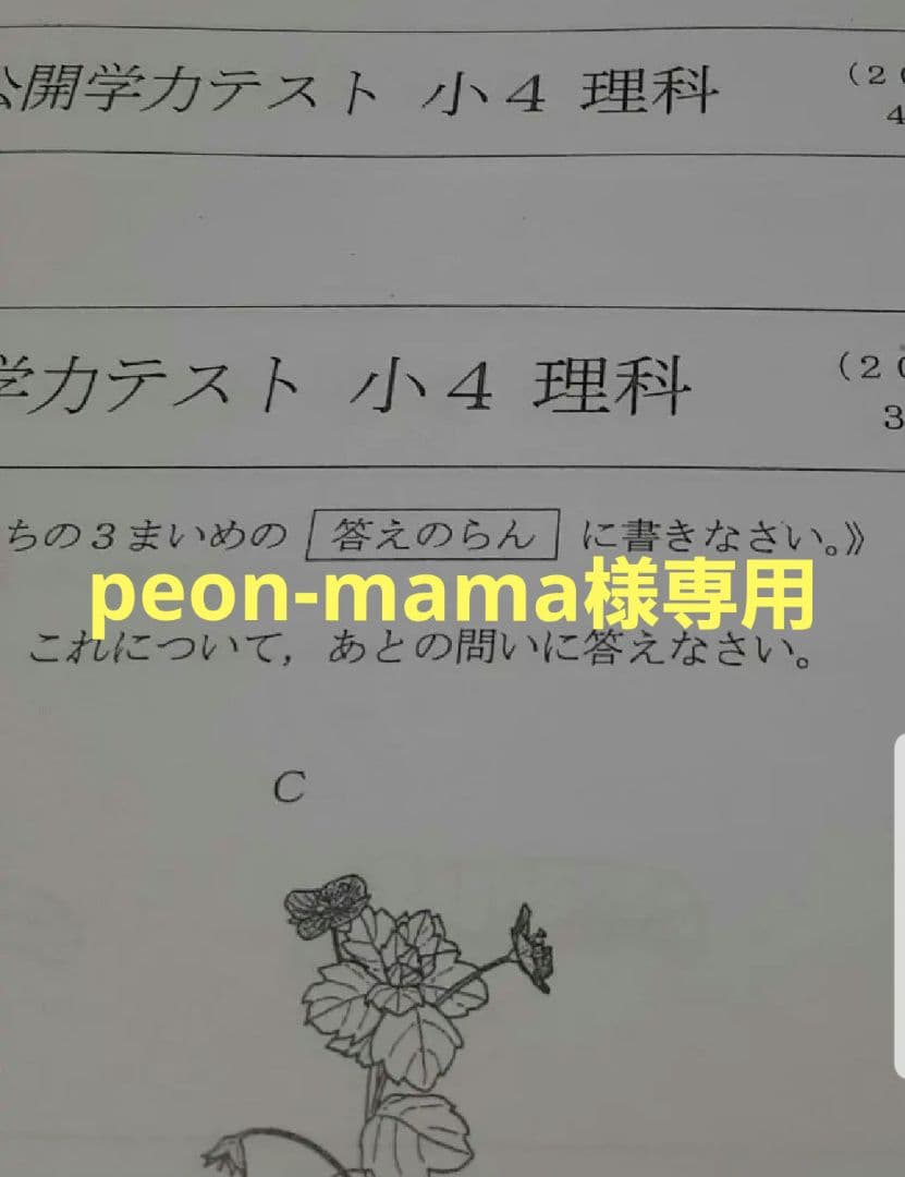 語学・辞書・学習参考書 peon-mama