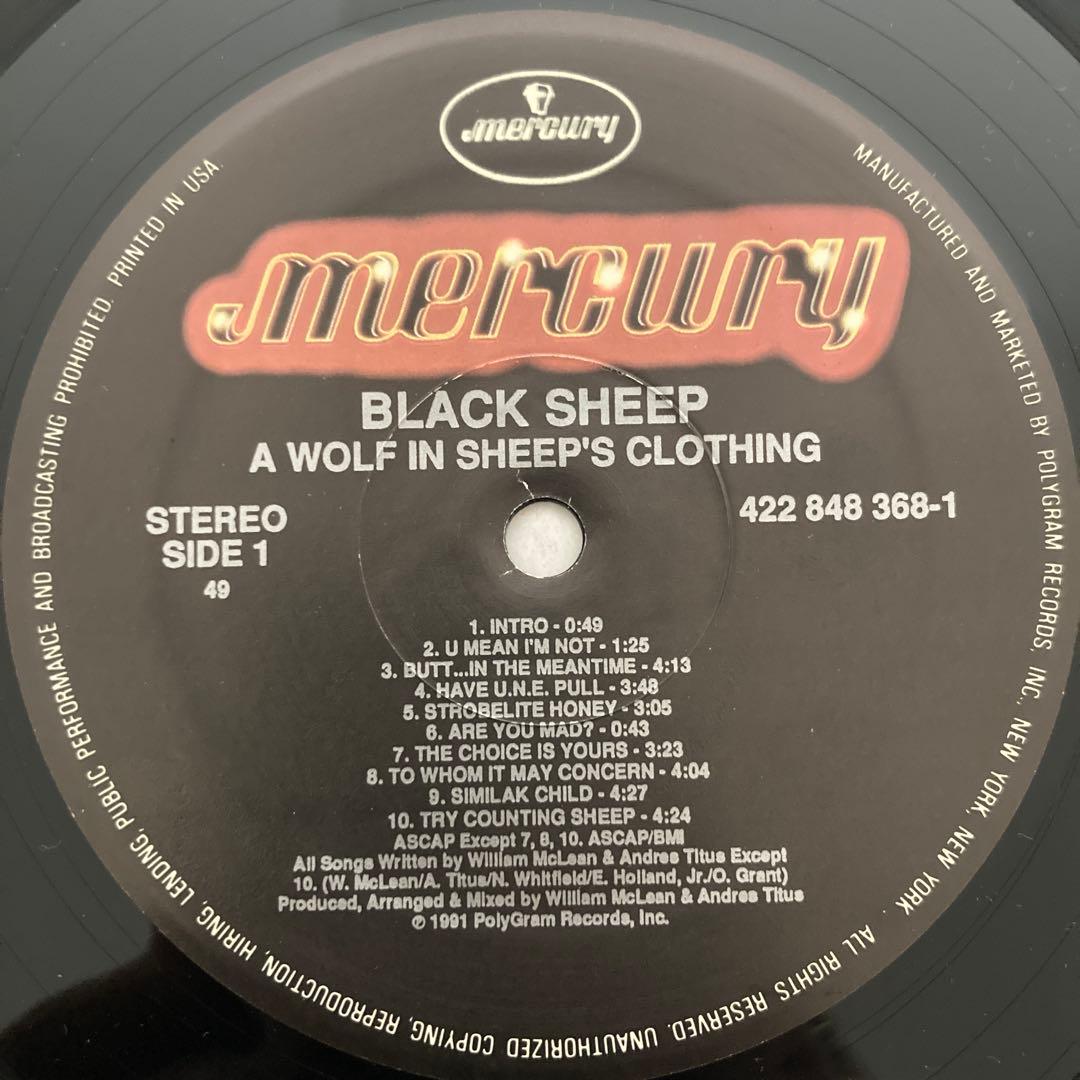 【US オリジナル美品】Black Sheep A Wolf In Sheeps