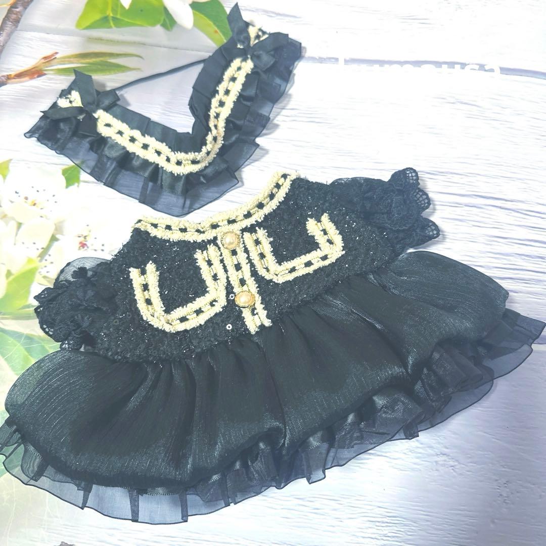 リーナベルコスチューム　2着