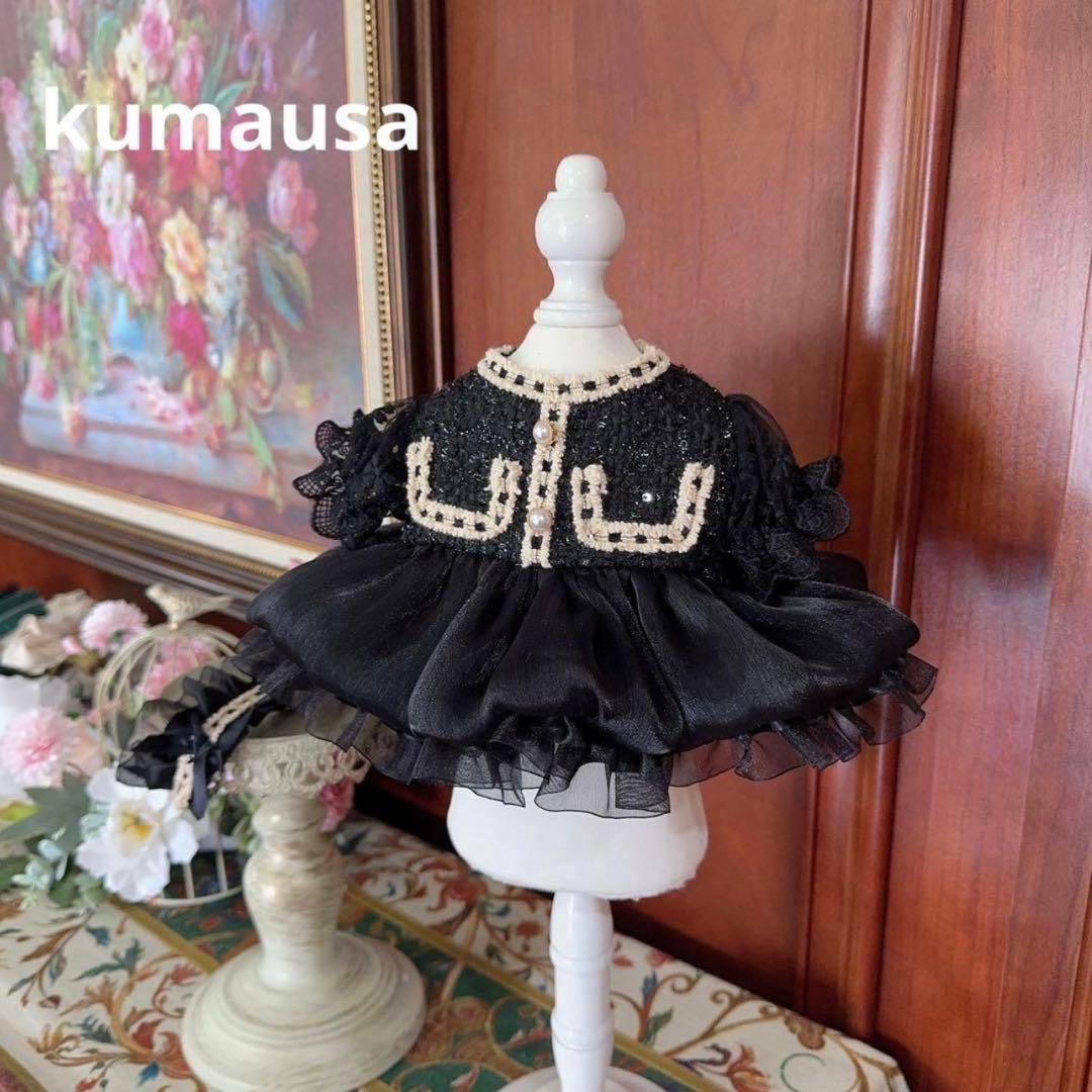 リーナベルコスチューム　2着