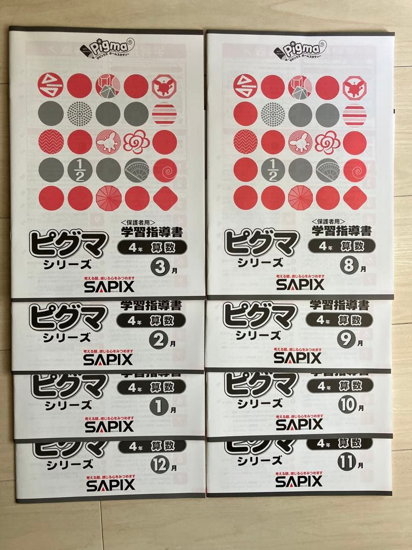 【新品】SAPIX ピグマシリーズ 4年生 8月~3月号教材