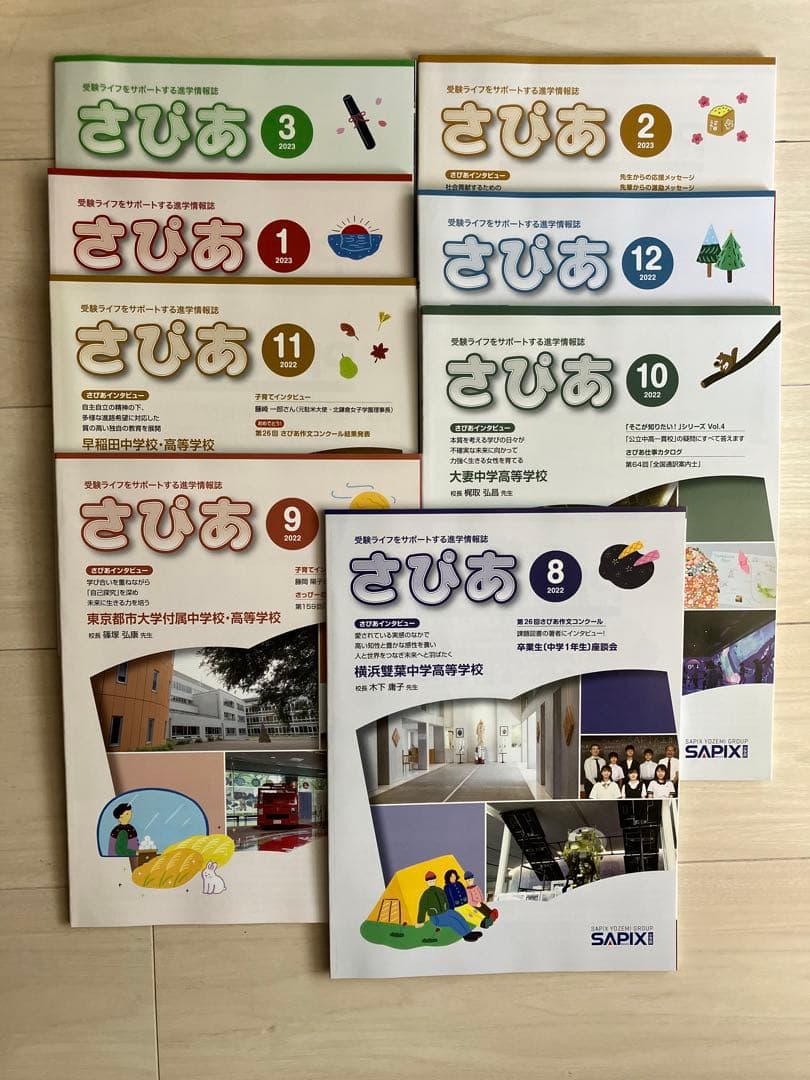 【新品】SAPIX ピグマシリーズ 4年生 8月~3月号教材