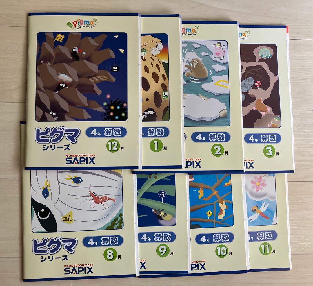 【新品】SAPIX ピグマシリーズ 4年生 8月~3月号教材