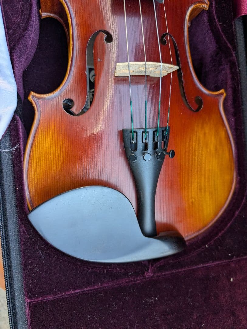 【特価】エレキバイオリン　David Gage　The Realist　RV4