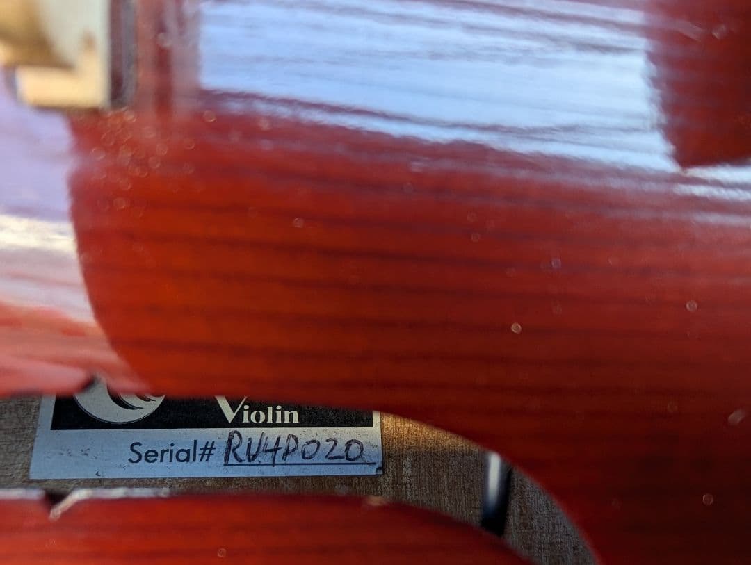 【特価】エレキバイオリン　David Gage　The Realist　RV4