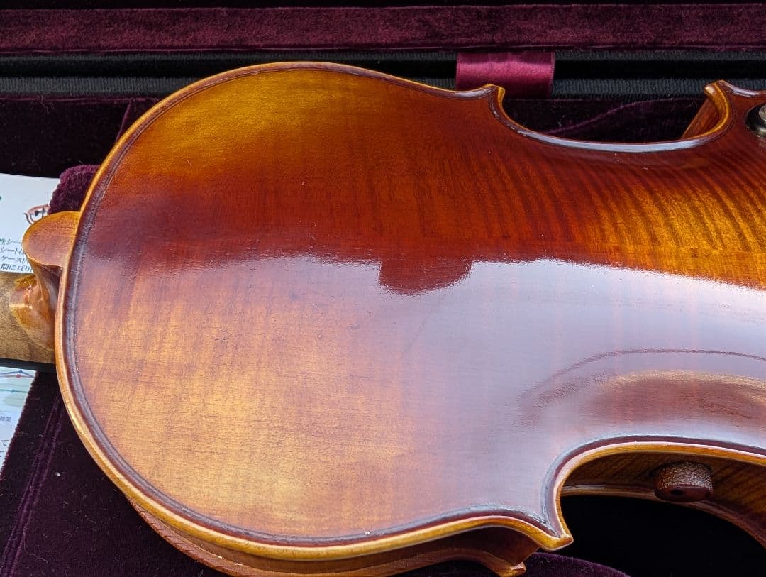 【特価】エレキバイオリン　David Gage　The Realist　RV4