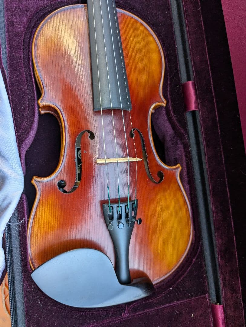 【特価】エレキバイオリン　David Gage　The Realist　RV4