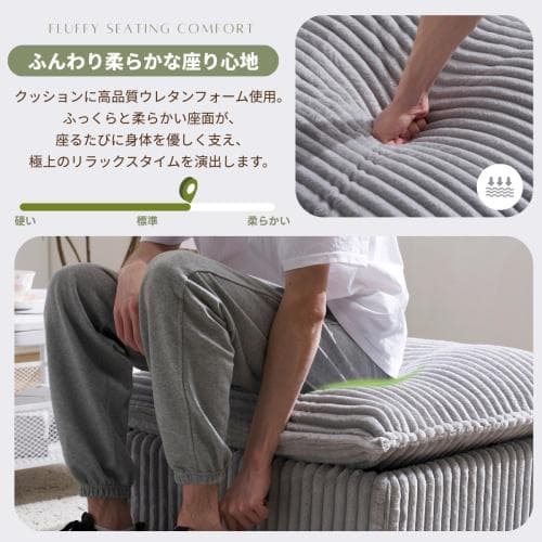 ソファー ソファーカウチ 2P 二人掛けソファ 収納付き オードマン付き ふわふ