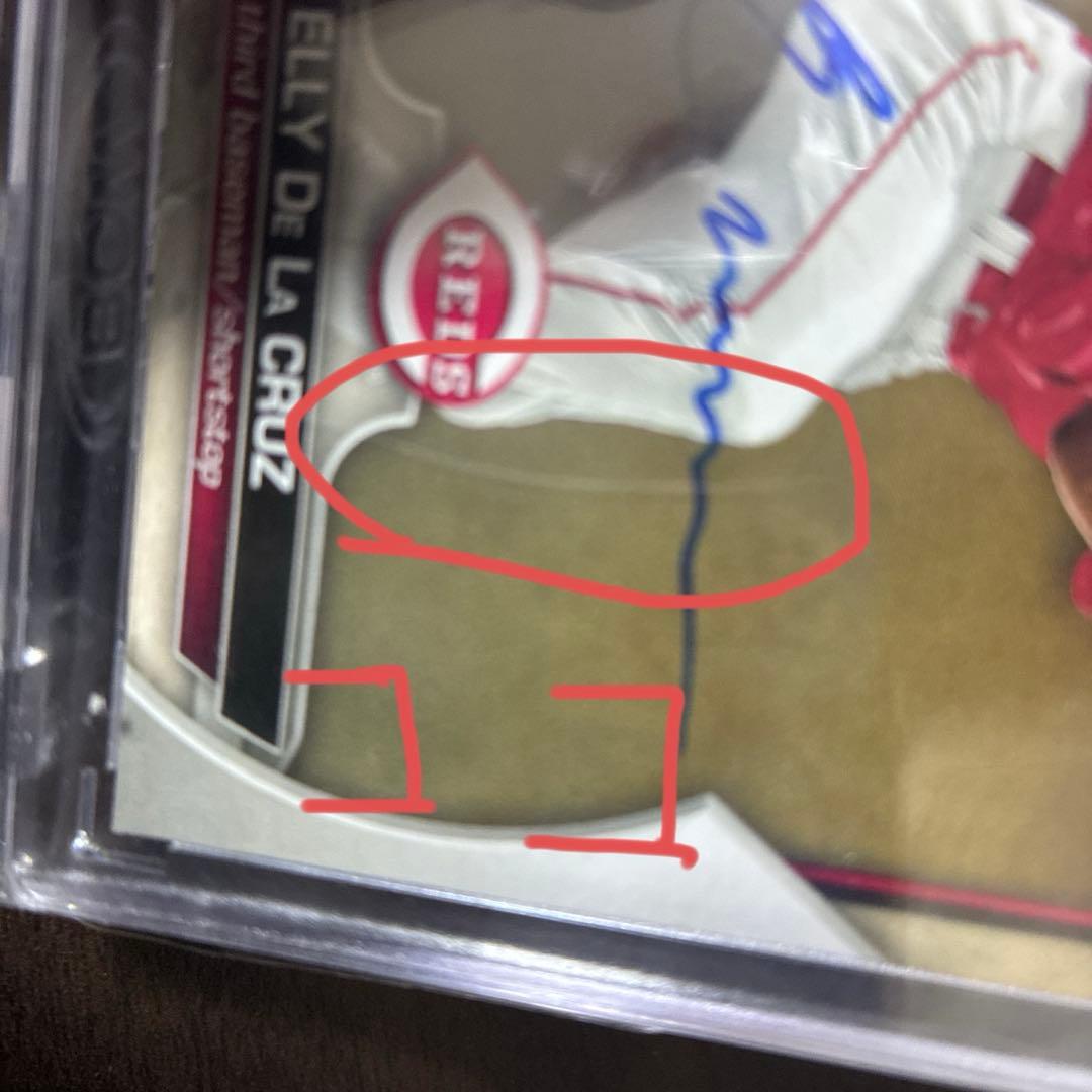 エリーデラクルーズ直筆サイン訳あり品