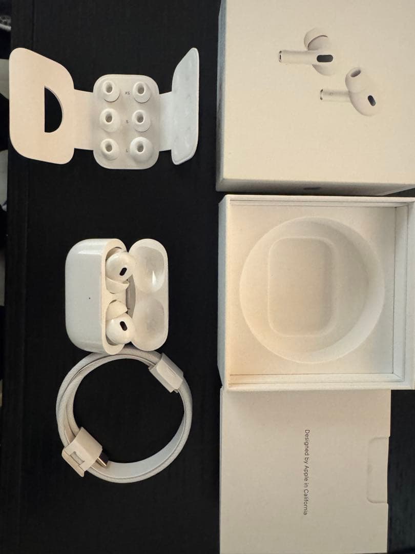 Apple AirPods Pro2 第二世代　Type-C