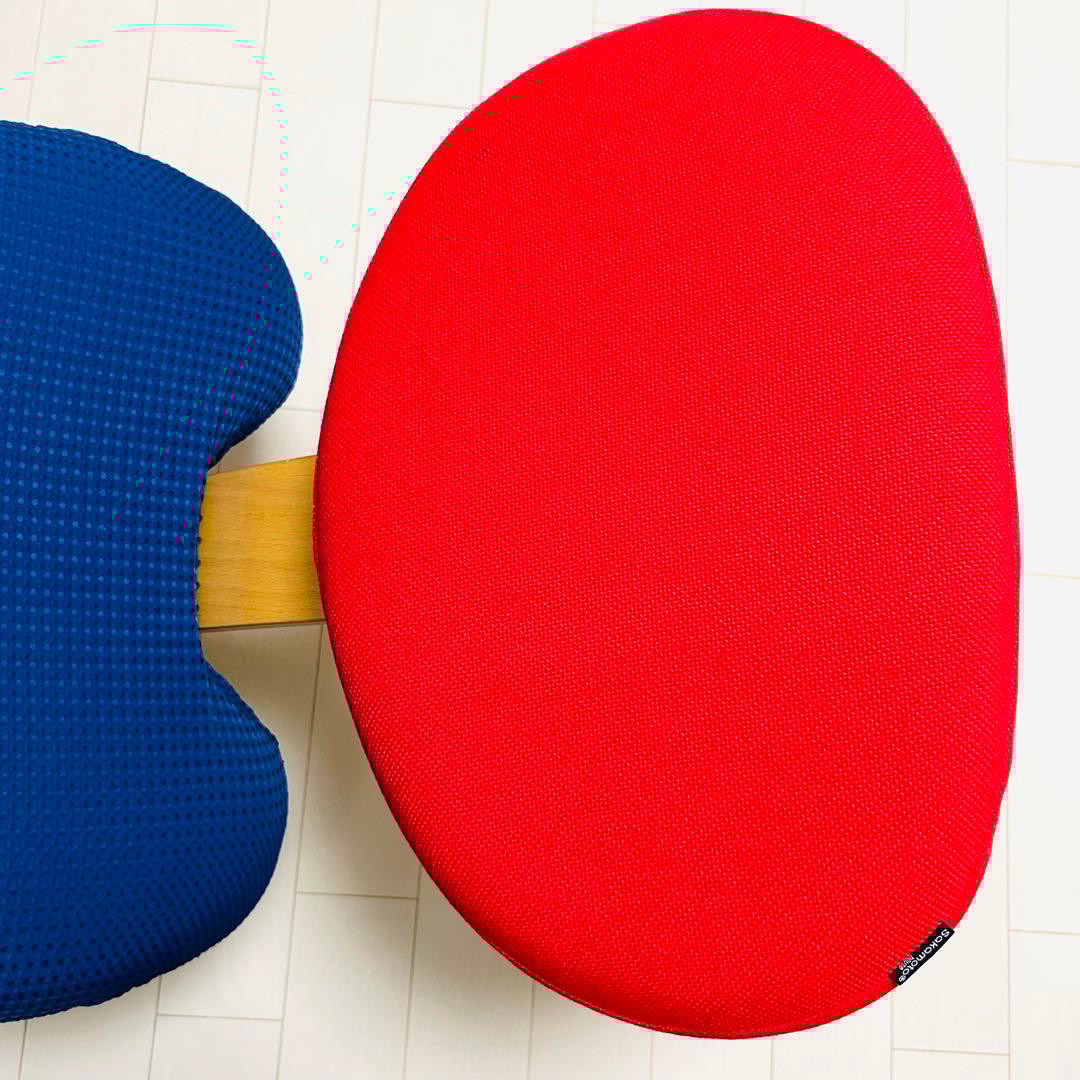 組み立て不要　説明書　撥水カバー　バランスチェア イージー レッド　紺