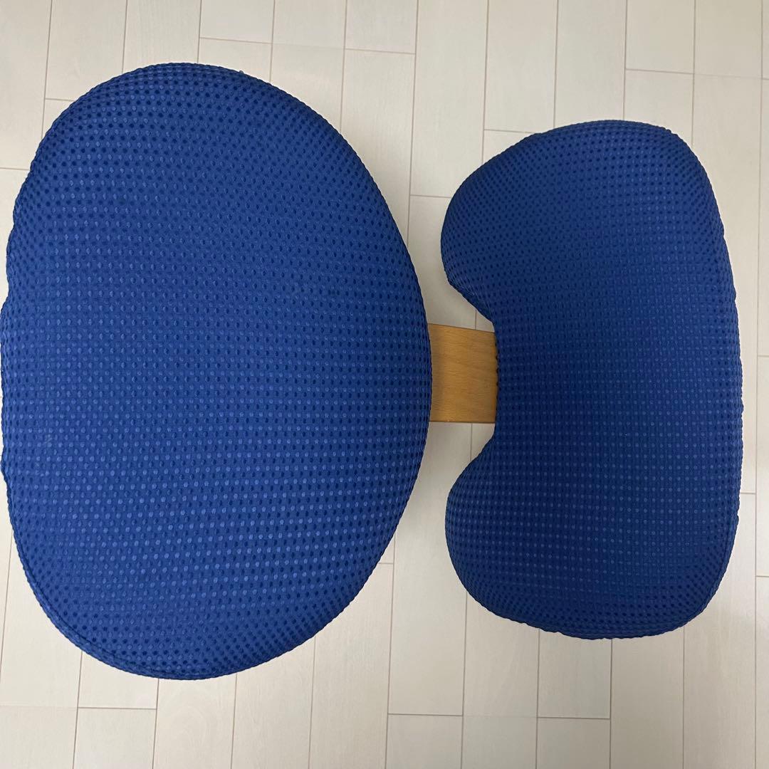 組み立て不要　説明書　撥水カバー　バランスチェア イージー レッド　紺