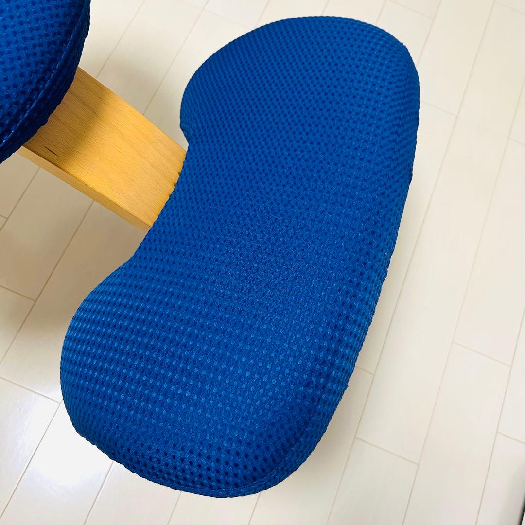 組み立て不要　説明書　撥水カバー　バランスチェア イージー レッド　紺