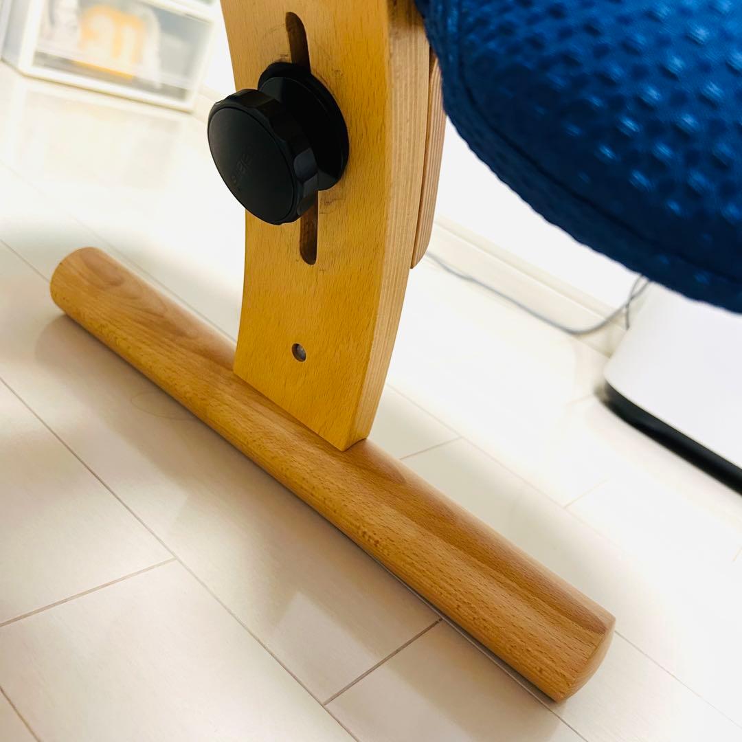 組み立て不要　説明書　撥水カバー　バランスチェア イージー レッド　紺