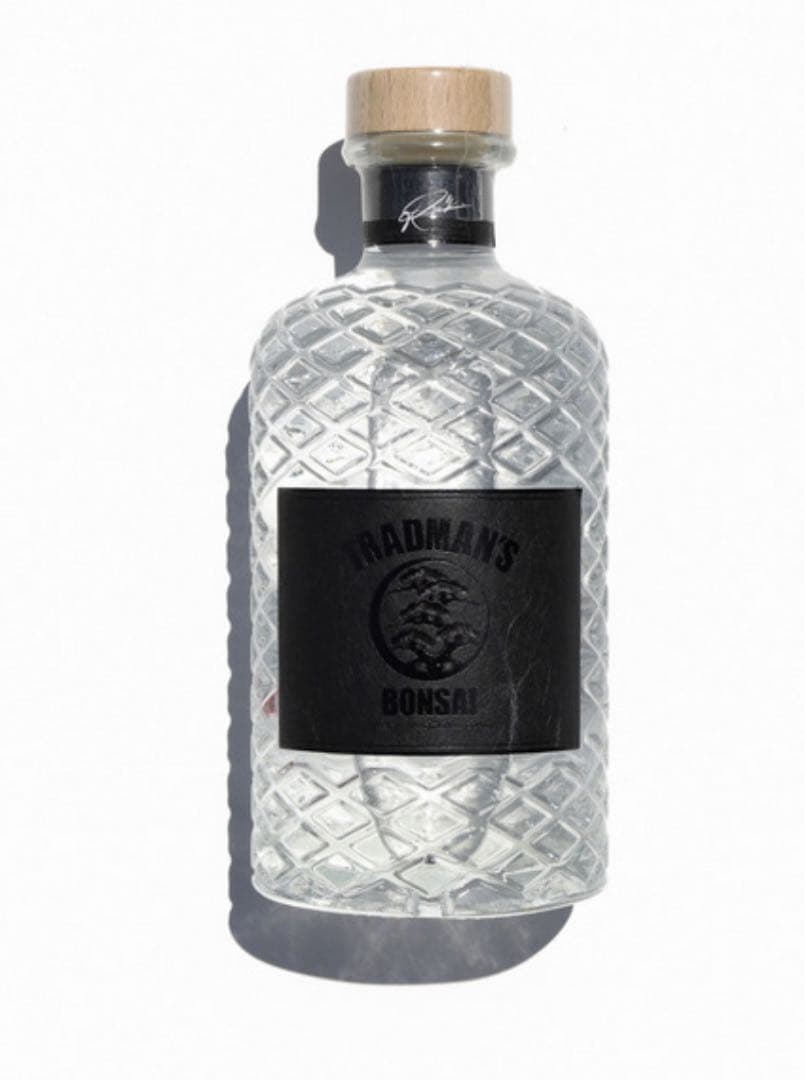 TRADMAN’S BONSAI -松葉ジン- トラッドマンズ盆栽