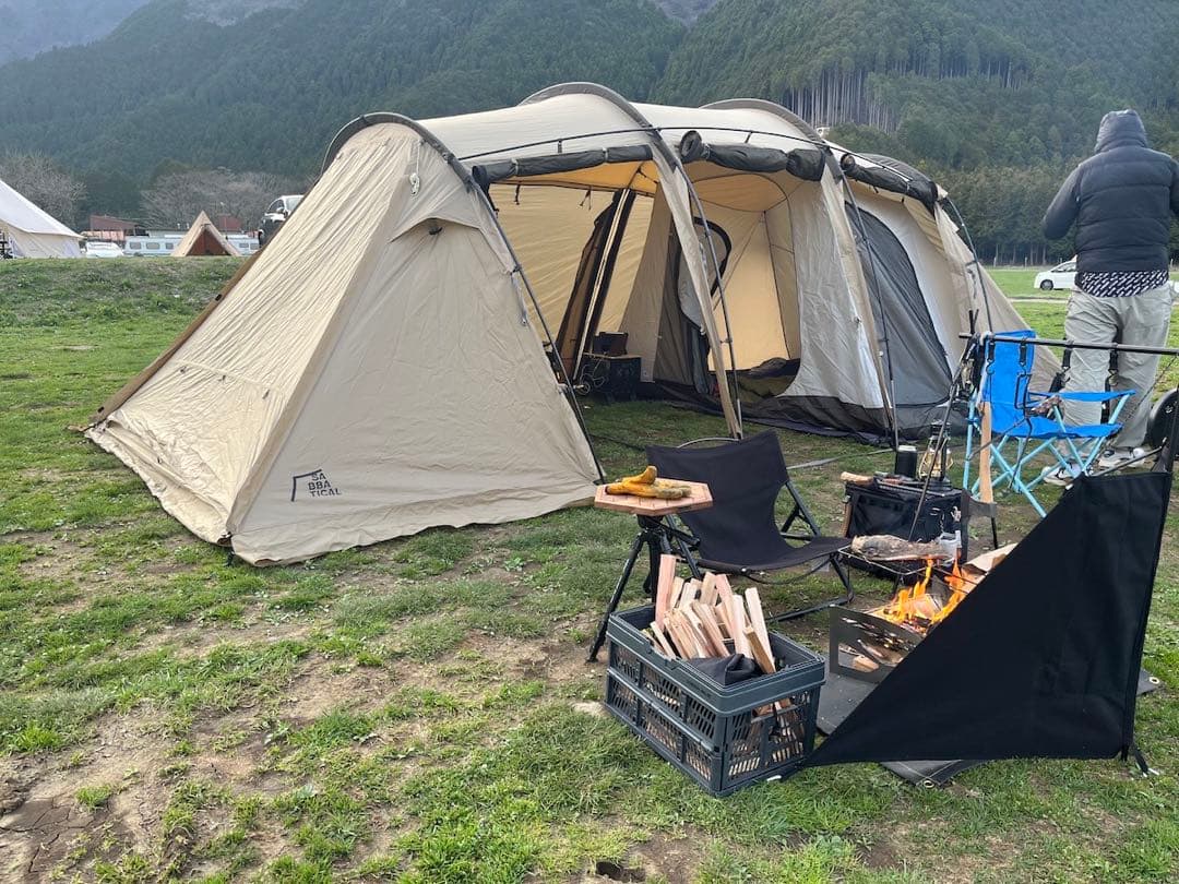 SABBATICAL サバティカル アルニカ