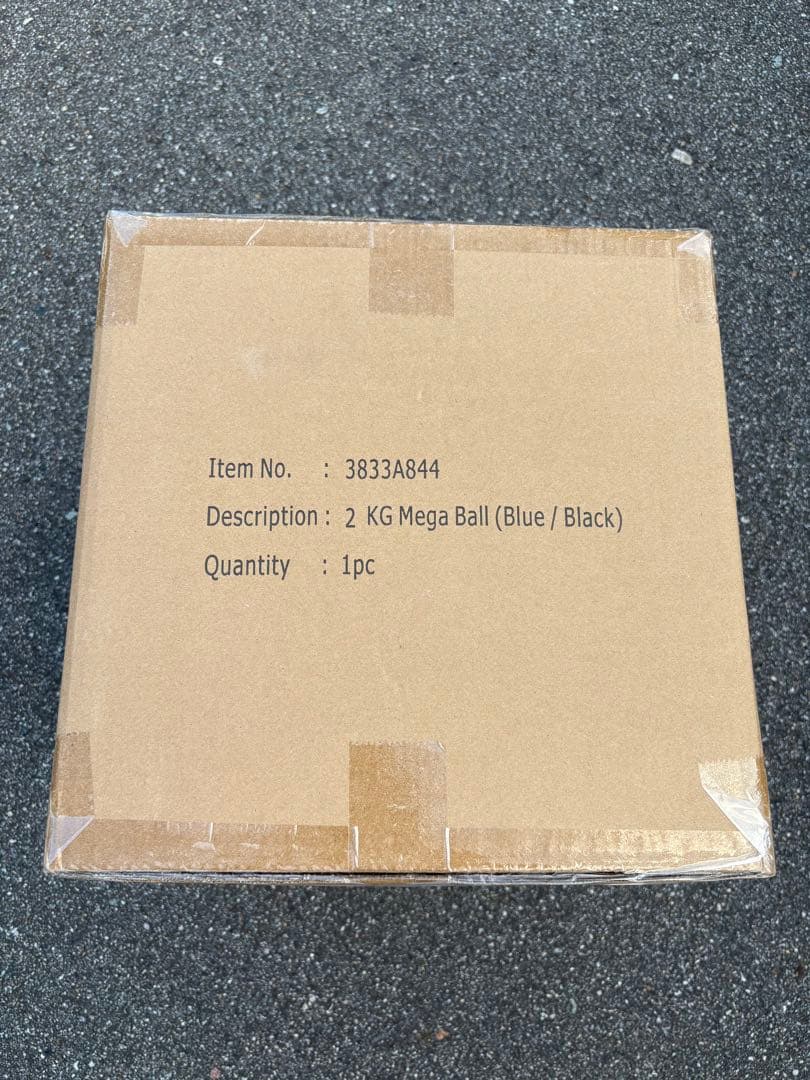 NISHI ニシ　メガソフトメディシンボール　2KG 新品