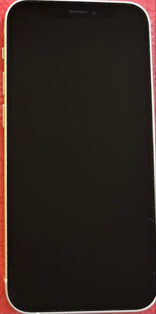 Apple iPhone 12 mini 本体