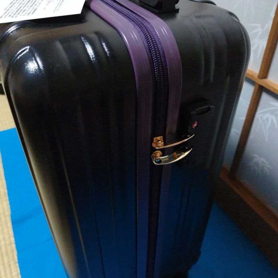 アナと雪の女王　 キャリーバッグ　5点セット