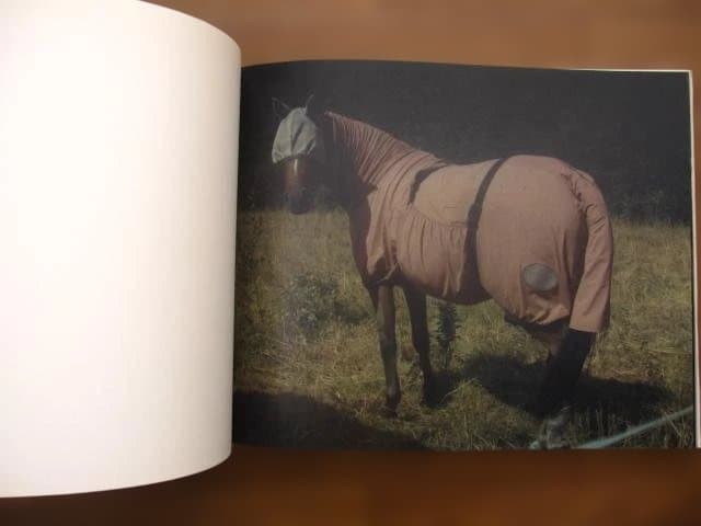 Far Too Close　Martina Hoogland Ivanow