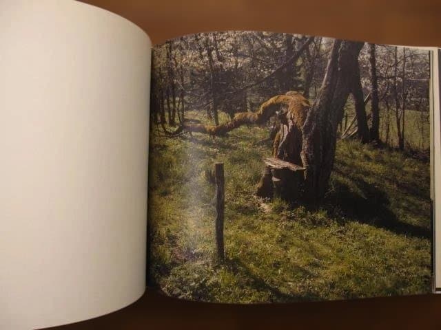 Far Too Close　Martina Hoogland Ivanow