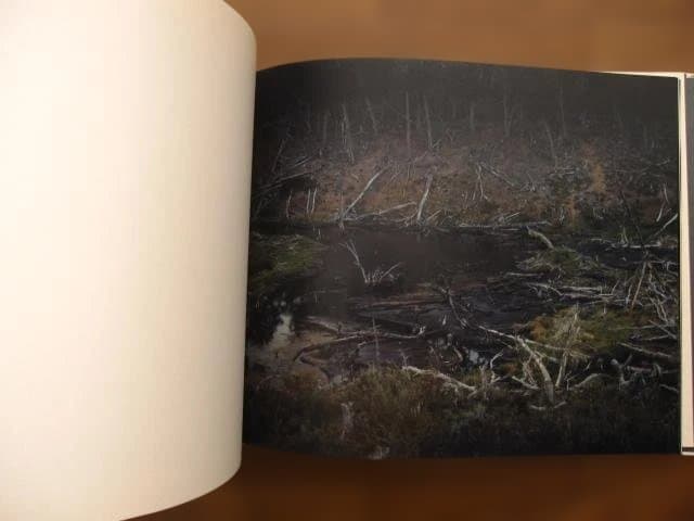 Far Too Close　Martina Hoogland Ivanow