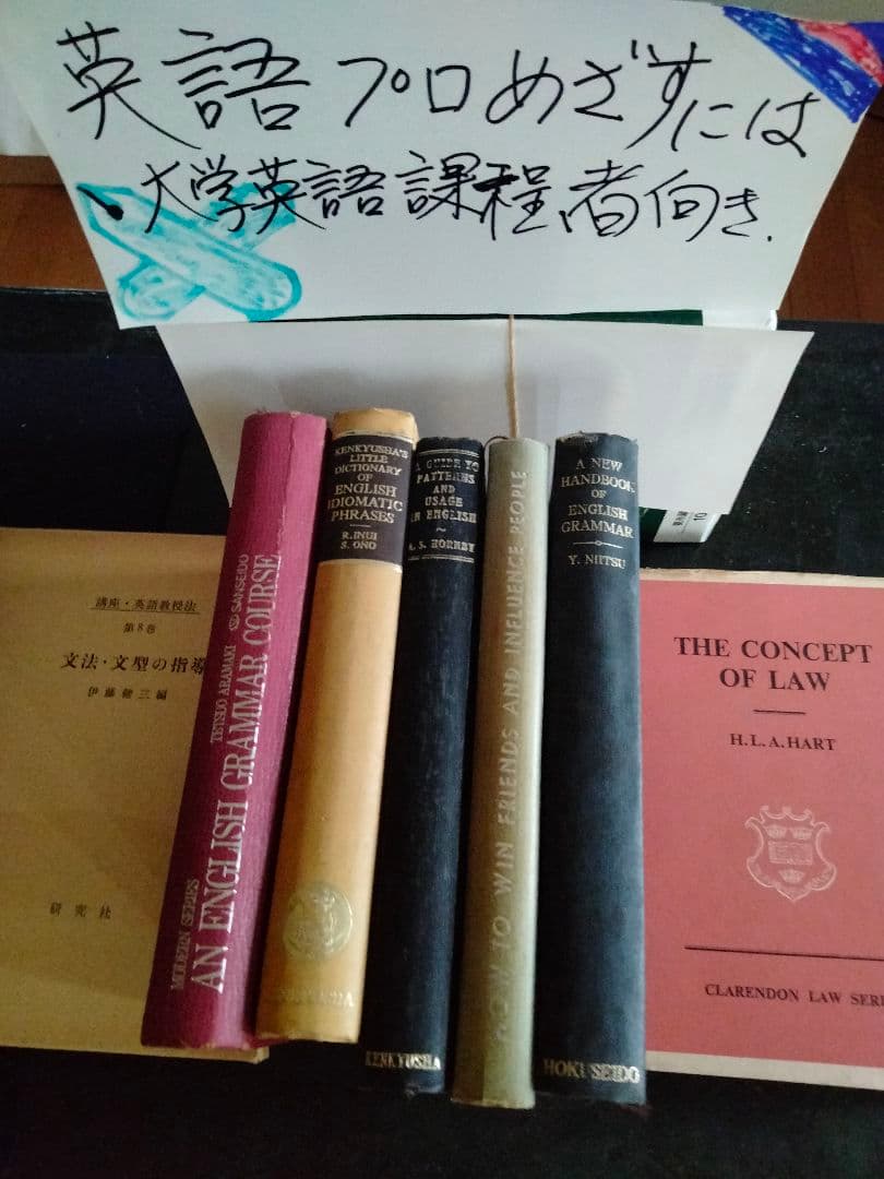 大学教育及び英語を専門に職業を考えてる方用の英語参考書