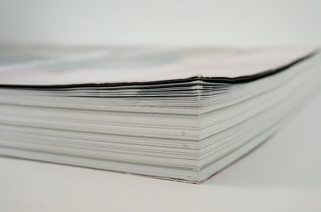 古本 2000部限定 Le petit voyeur #6 カルチャーマガジン