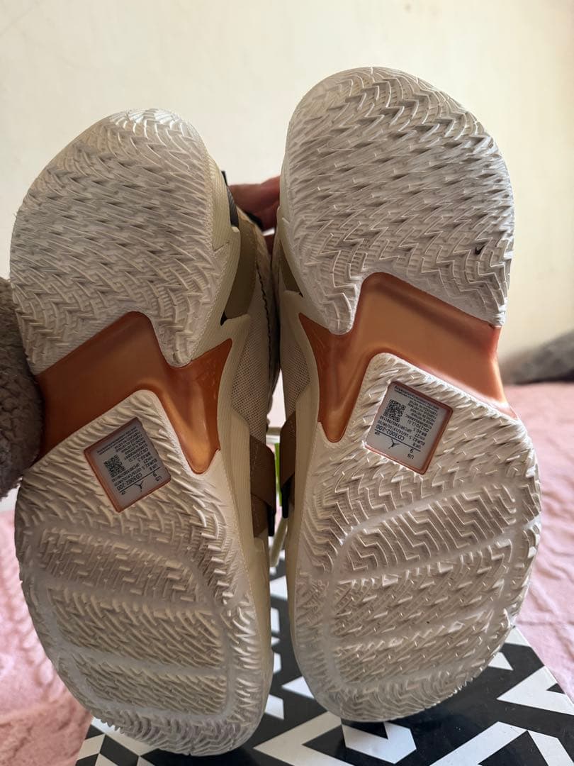 ナイキ ジョーダン Why Not Zer0.3 PF 27cm ほぼ新品