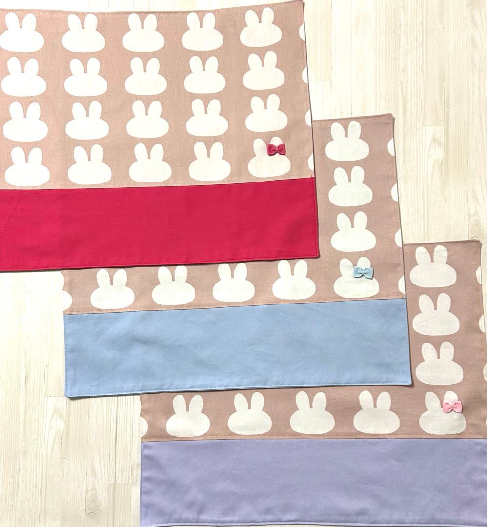 Erioですレッスンバッグ　上靴入れ　体操着入れ　給食袋　ランチョンマット