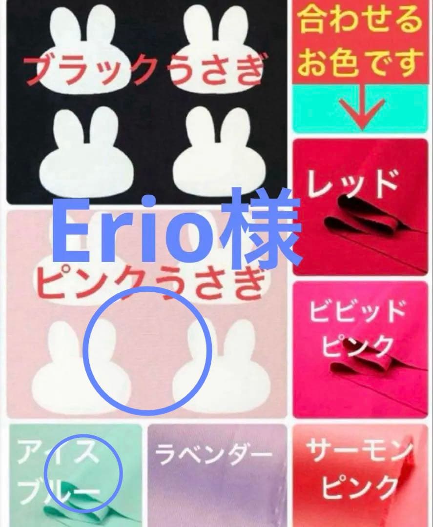 Erioですレッスンバッグ　上靴入れ　体操着入れ　給食袋　ランチョンマット