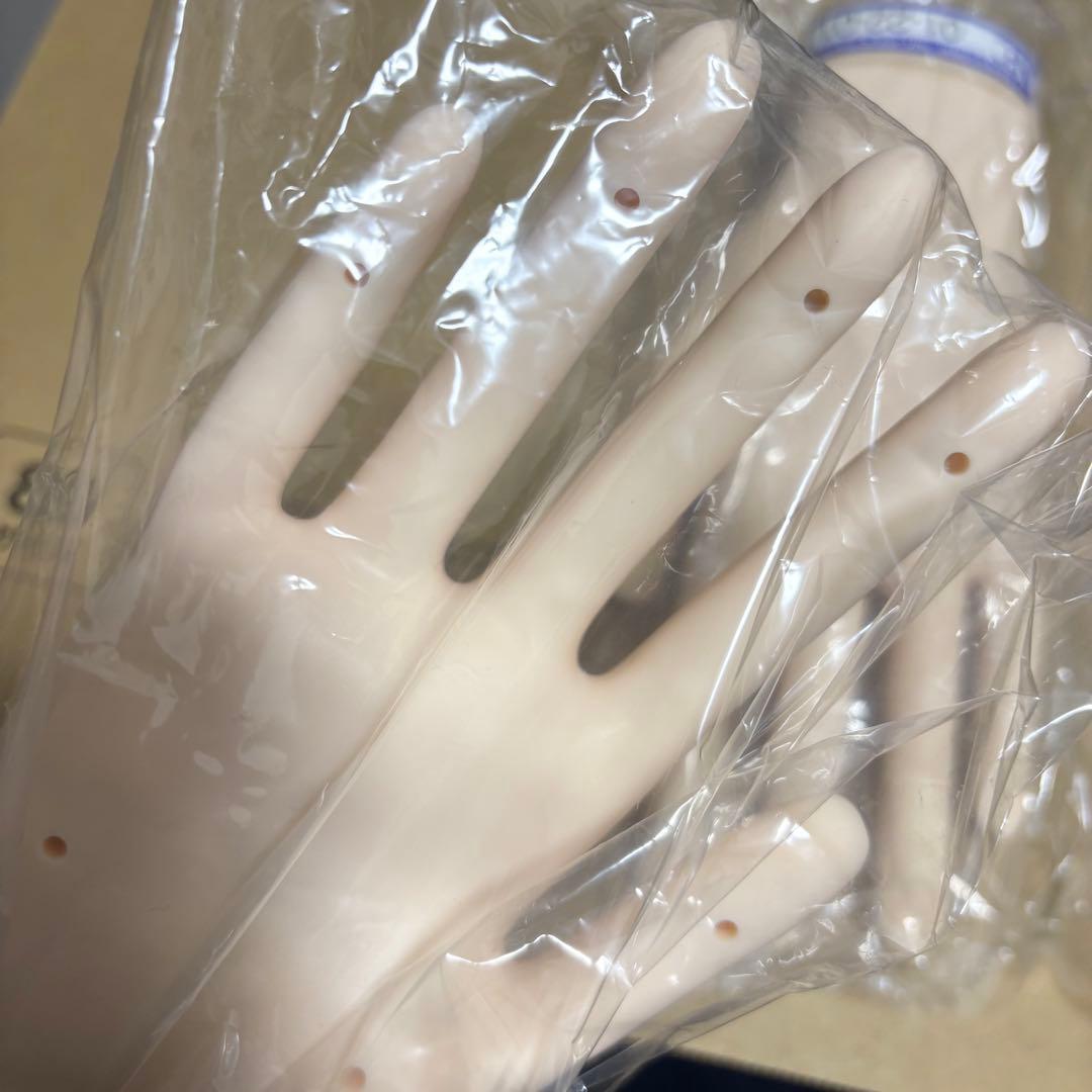 JNEC認定モデルハンド 両手セット 箱付き チップ付き