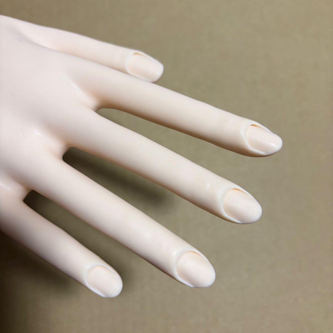 JNEC認定モデルハンド 両手セット 箱付き チップ付き