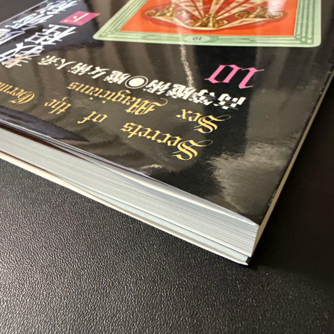 高等魔術・魔女術大系10 性魔術秘密教程 下 跡魔女の家BOOKS/古本