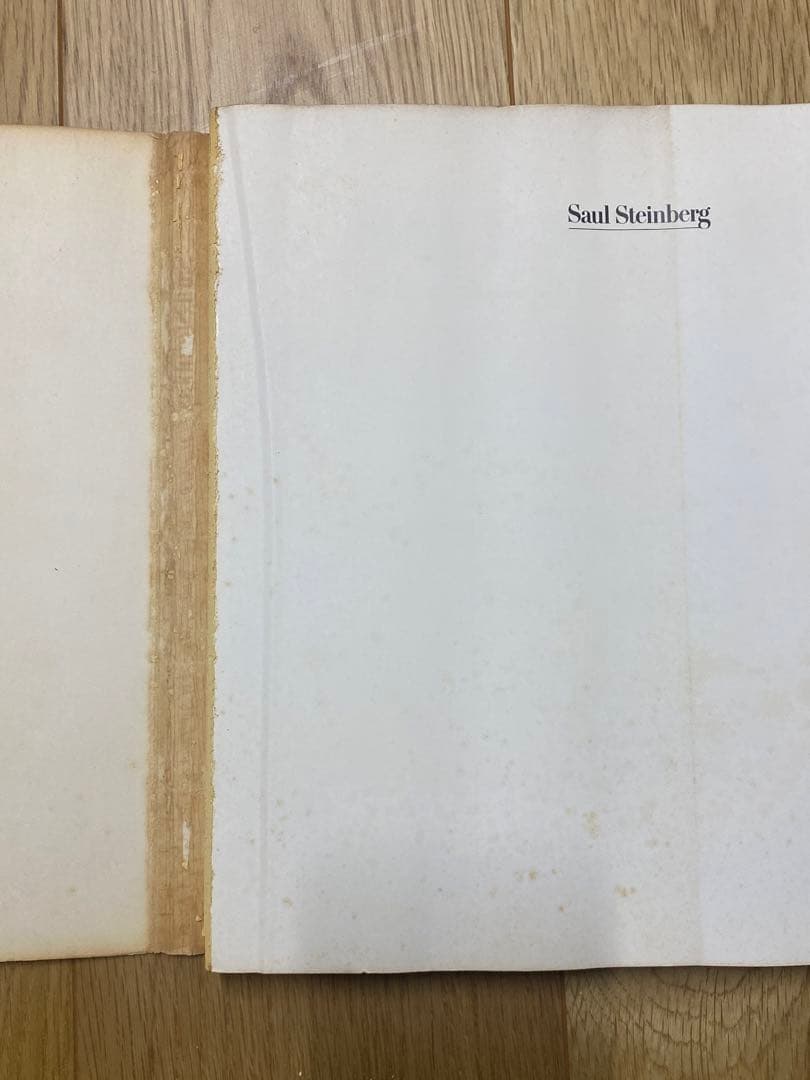 ソウル・スタインバーグ 画集