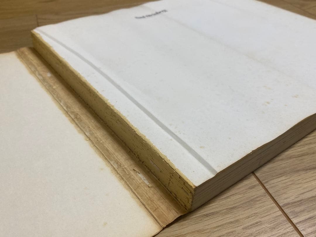 ソウル・スタインバーグ 画集