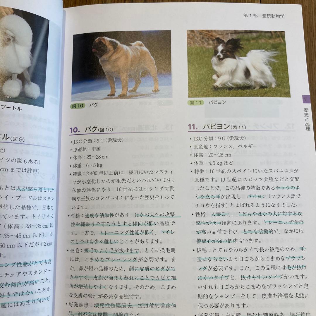 愛玩動物看護師の教科書 第1-6巻