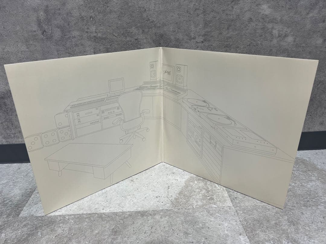 【最終価格】Steady&Co. CHAMBERS LP レコード 2枚組 希少