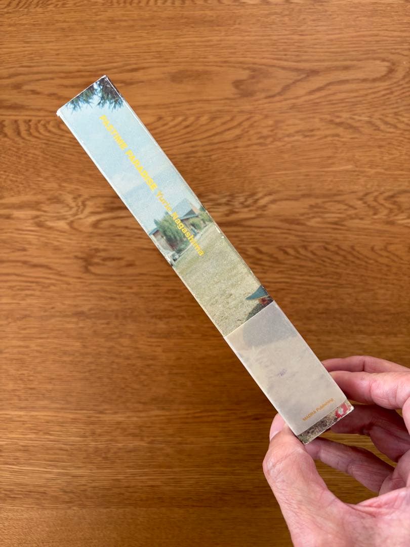 長島有里枝1992〜2000 PASTIME PARADISE