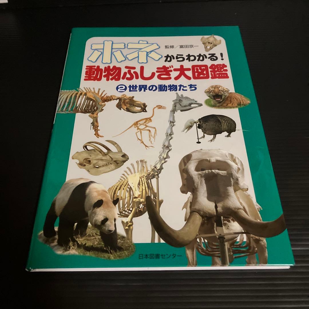 富田京一 ホネからわかる!動物ふしぎ大図鑑(全3巻)